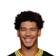 Allen Lazard